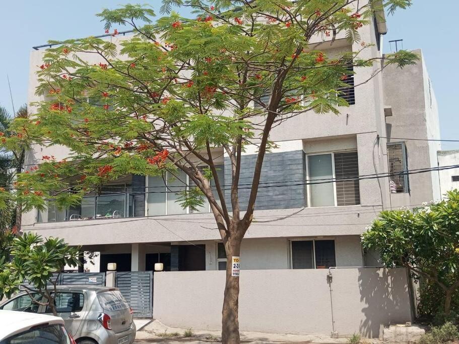 Gulmohar Indore
